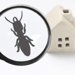 新築住宅のおけシロアリ予防法は？具体策を紹介