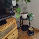 テレビ周りのインテリア整え術