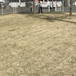 暖かくなってきましたので．．．