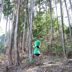 なぜワールドハウスでは“ヒノキ”を使うの？
