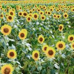7月もスタート!