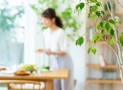 お役立ちコラム