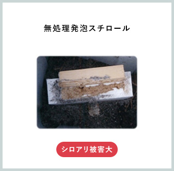 無処理発泡スチロール シロアリ被害大