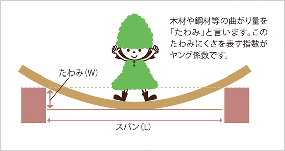木材や鋼材等の曲がり量を「たわみ」と言います。このたわみにくさを表す指数がヤング係数です。