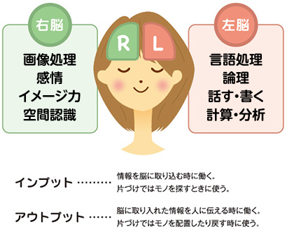 右脳・左脳イメージ