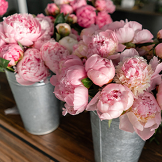 フラワーショップ