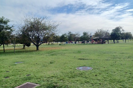 神栖中央公園