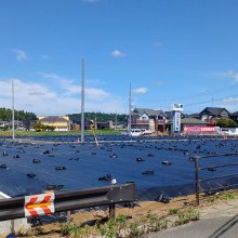 国道側視点全景