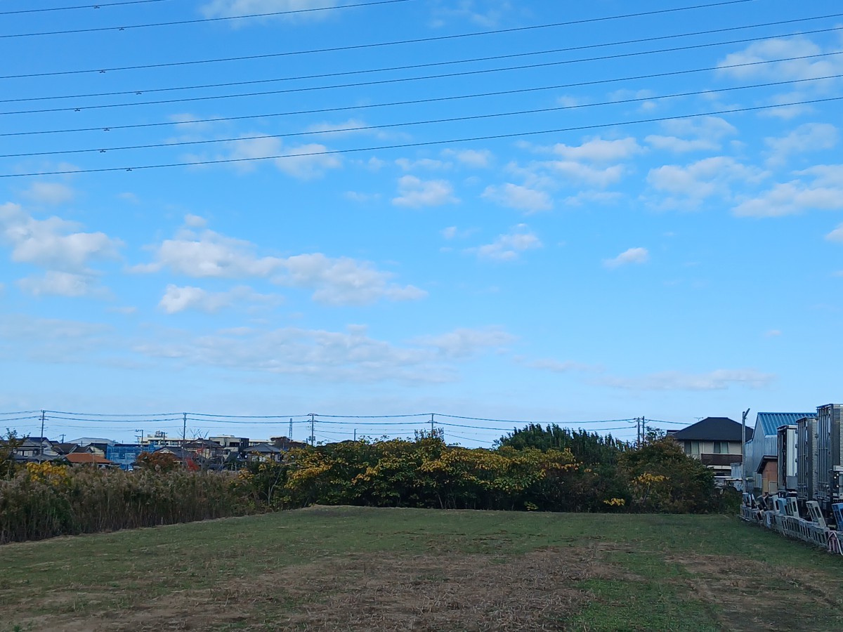 敷地南側視点（奥の木が生えている区画）