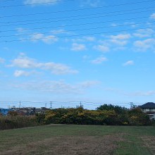 敷地南側視点（奥の木が生えている区画）