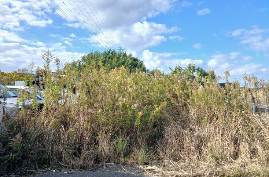 銚子市長塚町売地【専任媒介】