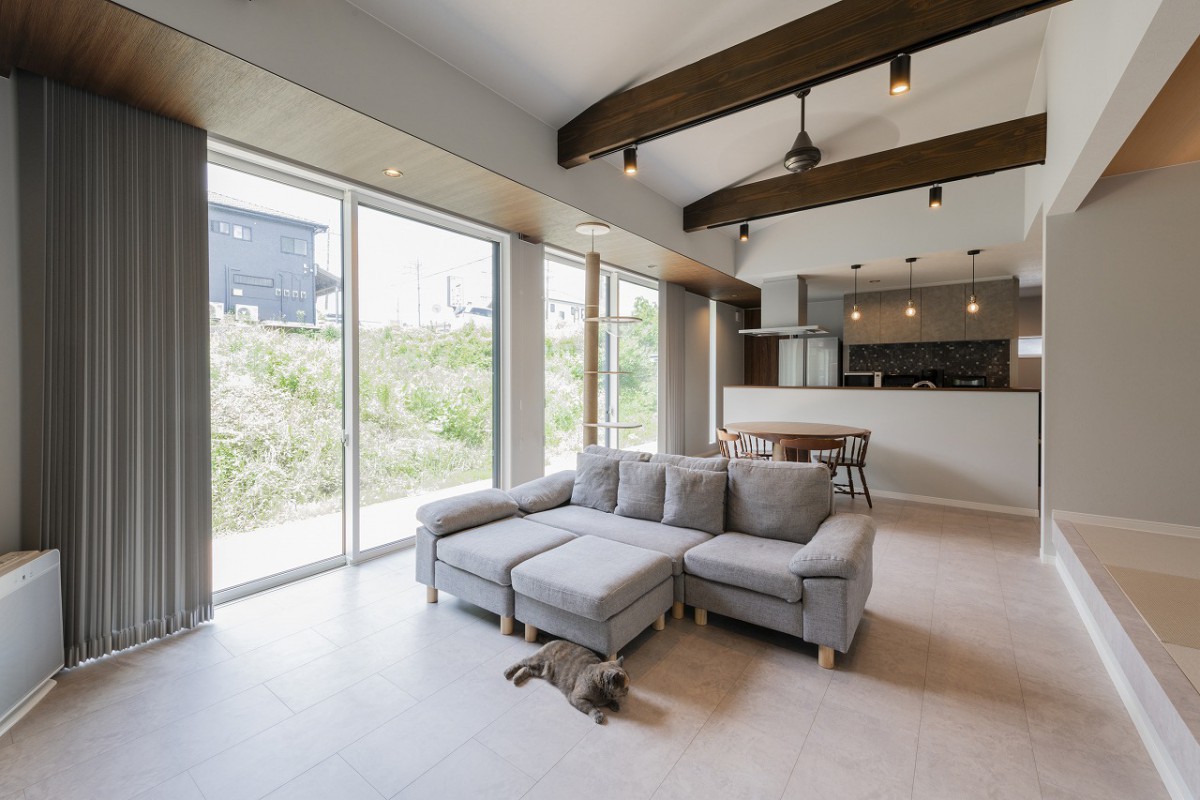 自然光に溢れるモダンなリビング