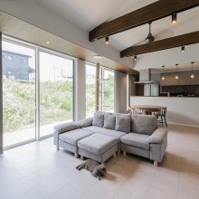 自然光に溢れるモダンなリビング