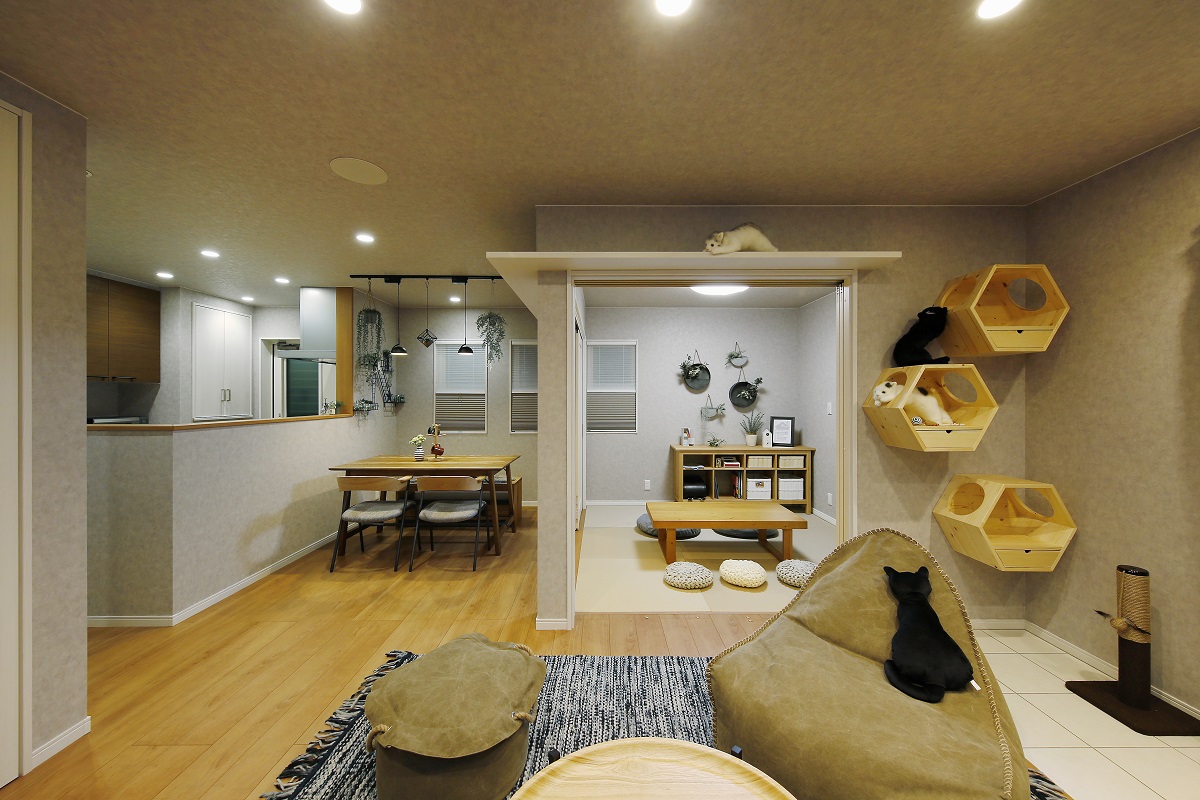 キャットウォーク　六角ハウス　ビーズソファ　平織りラグ　ダイニングテーブル　