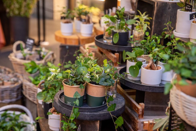 グリーンショップをはじめる