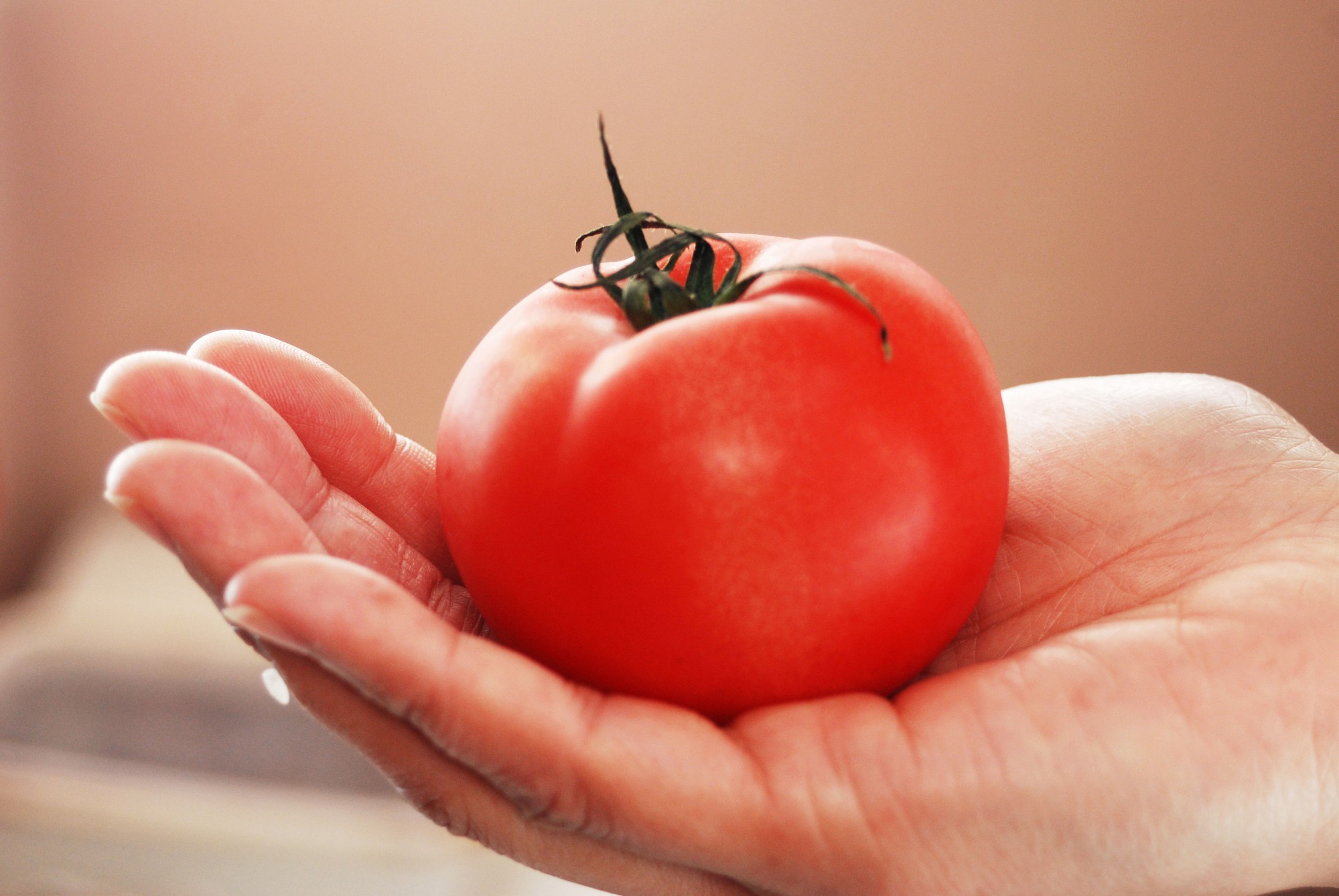 相性の良いトマトときゅうりを堪能夏野菜のレシピ3選 Unau Magazine ウナウマガジン 理想の暮らしと住まいを探そう